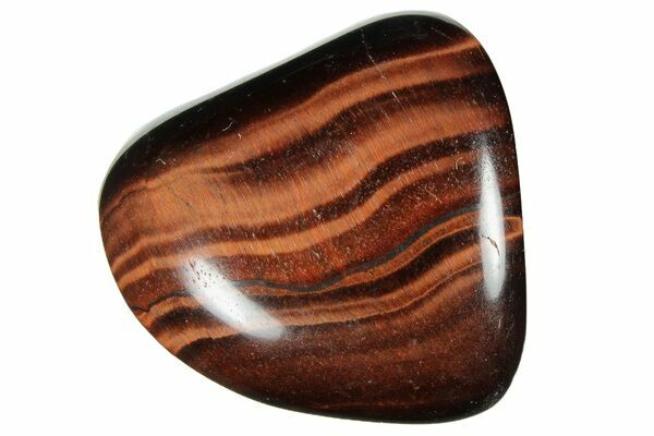 Tigers eye store for sale